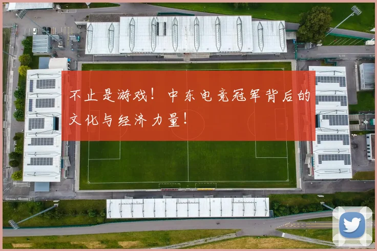 不止是游戏！中东电竞冠军背后的文化与经济力量！